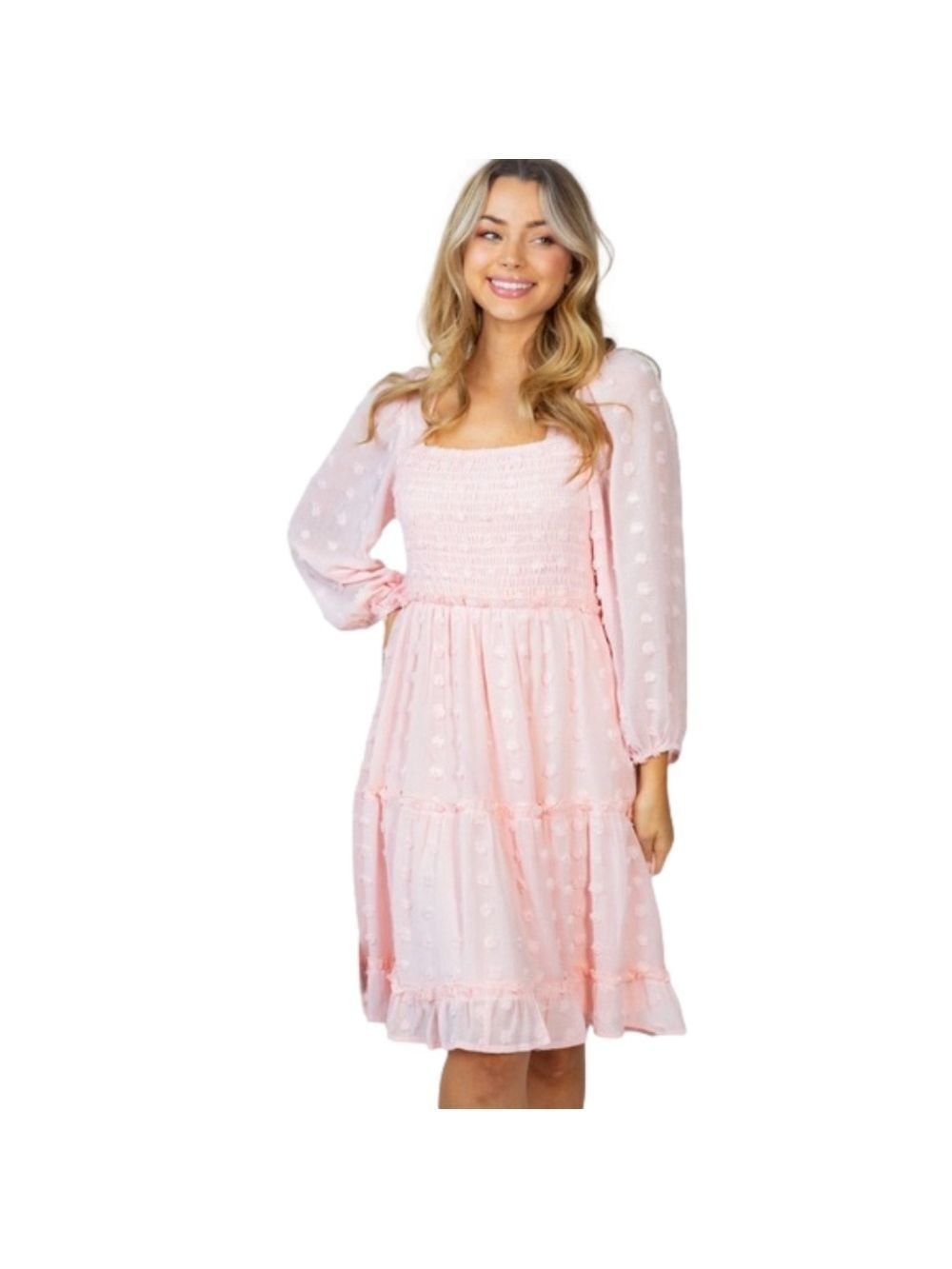 WHITE Birch Woman’s Pink Swiss Dot Dress Size 3x. (S037) - Picture 1 of 12